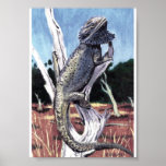 Bearded dragon posters