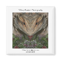 Bearded Dragon Promo Piece Magnet
