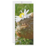 Bearded dragon full color rack card