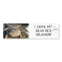 Bearded Dragon Series Bumper Stickers