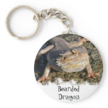 Bearded Dragon Series Keychains