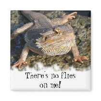 Bearded Dragon Series Fridge Magnet