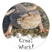 Bearded Dragon Series Round Stickers