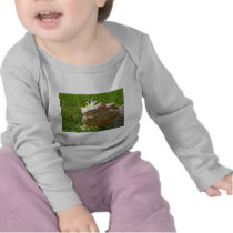 Bearded dragon shirt