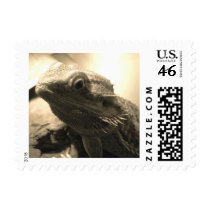 Bearded Dragon Stamp