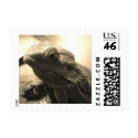 Bearded Dragon Stamp