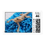 Bearded dragon stamp