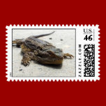 Bearded Dragon Stamps