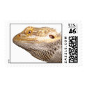 Bearded dragon stamps