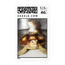 Bearded Dragon & Sulcata Tortoise Stamps