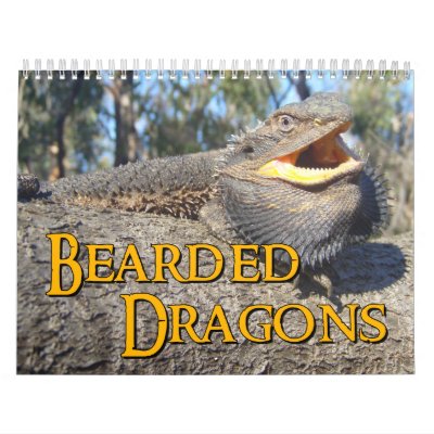 Bearded Dragons Wall Calendar by ColorShow