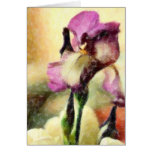 BEARDED IRIS CARDS