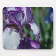 Bearded Iris Flower Mouse Pad