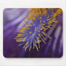 Bearded Iris Mouse Pads