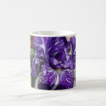 Bearded Iris Mugs