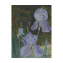 Bearded Iris Postcard by naturegirl7 Bearded Iris Postcard