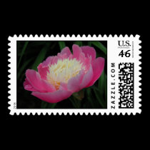 Bearded Peony stamps