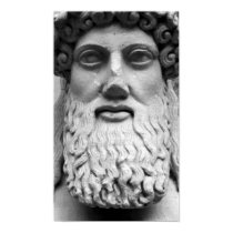 Bearded Roman posters