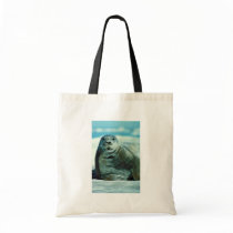 Bearded seal portrait bags