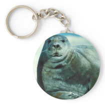Bearded seal portrait key chains