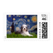 Beardie 2 - Starry Night Stamps