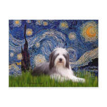 Beardie 2 - Starry Night Postcard