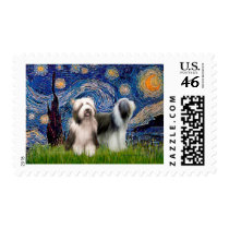 Beardie Pair 1 - Starry Night Postage Stamp