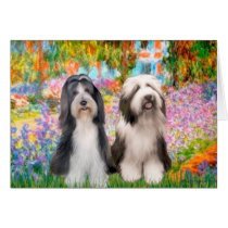 Beardie Pair 2 - Garden Greeting Cards