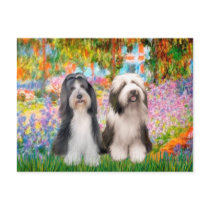 Beardie Pair 2 - Garden Postcards
