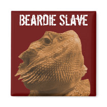 Beardie Slave Fridge Magnets