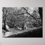 Beargrass Creek (Black & White Photo Print) posters