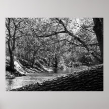 Beargrass Creek (Black & White Photo Print)