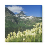 Beargrass near Logan Pass in Gacier National Fridge Magnet