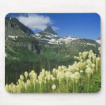 Beargrass near Logan Pass in Gacier National Mousepads