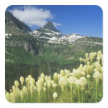 Beargrass near Logan Pass in Gacier National Square Stickers