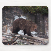 Bearhog mousepad