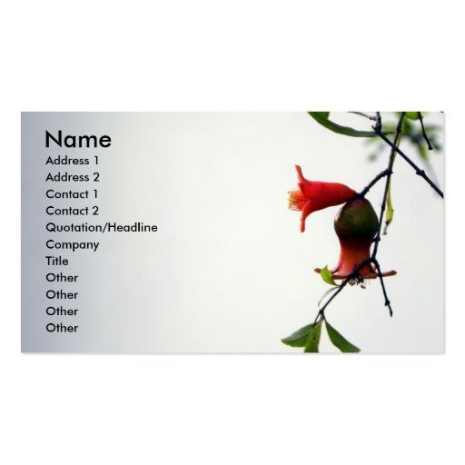 Bearing Fruits/Profile Card Business Card (front side)