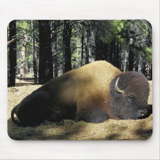 Bearizona Bison Mouse Pad