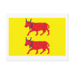 Bearn Flag Postcard