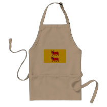 Bearn, France flag Apron