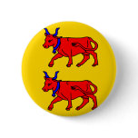 Bearn, France flag Pin