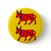 Bearn, France flag Pin