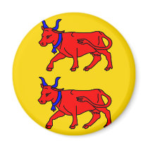 Bearn, France flag Magnets