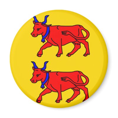 Bearn, France flag Magnets by FlagLibrary