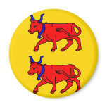 Bearn, France flag magnets