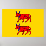 Bearn, France flag posters