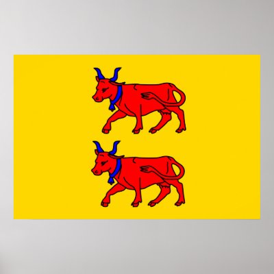 Bearn, France flag Print by FlagLibrary