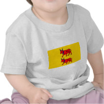 Bearn, France flag T-shirts