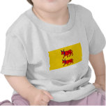 Bearn, France flag t-shirts