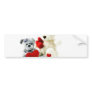 Bears Bumper Stickers